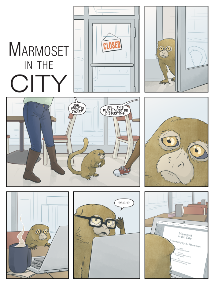 Marmoset in the City
